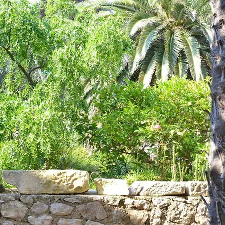 8029b * Veli Lošinj
