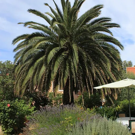 Apartament 8029b Veli Lošinj