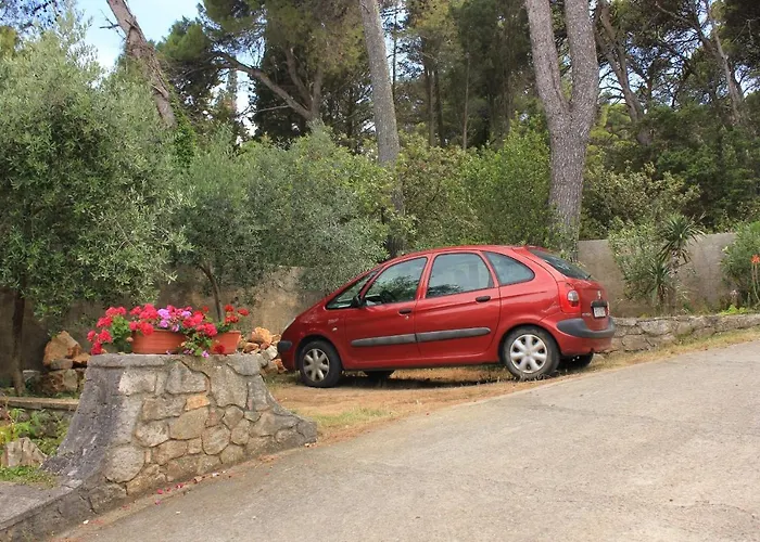 8029b Veli Lošinj