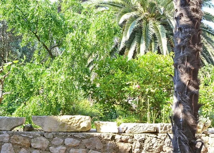 8029b * Veli Lošinj