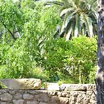8029b * Veli Lošinj